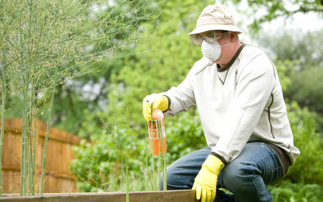 What Are Grubs & What Do They Do to My Home?