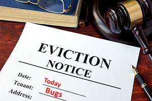 Eviction Notice